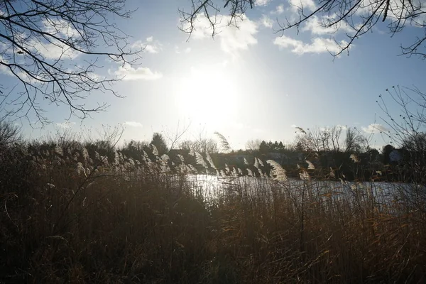 美丽的落日在冬日的五湖畔 德国柏林Marzahn Hellersdorf — 图库照片