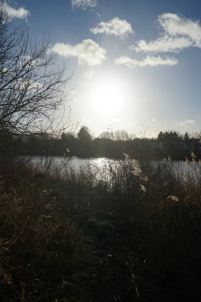 Hermosa Puesta Sol Sobre Lago Wuhlesee Invierno Marzahn Hellersdorf Berlín —  Fotos de Stock