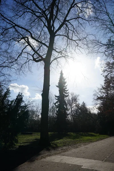 Zimowe Słońce Nad Parkiem Rozrywki Wuhlheide 12459 Berlin Niemcy — Zdjęcie stockowe