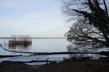  Şubat ayında Grosser Mueggelsee Gölü ve çevresindeki bitki örtüsü manzarası. 12559 Berlin, Almanya 
