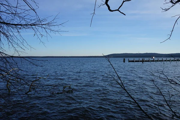 Вид Озеро Grosser Mueggelsee Навколишню Рослинність Лютому 12559 Берлін Німеччина — стокове фото