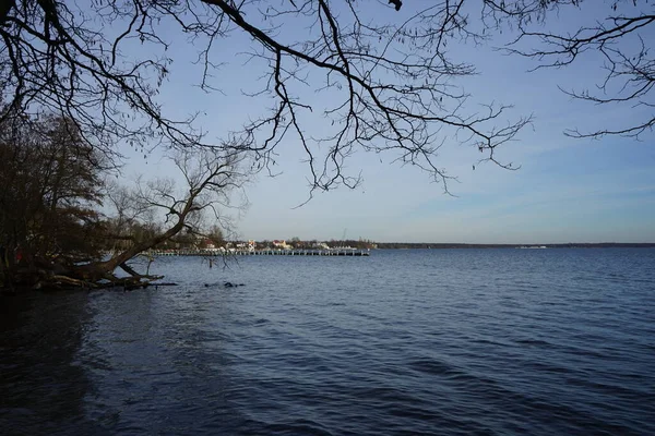 Вид Озеро Grosser Mueggelsee Навколишню Рослинність Лютому 12559 Берлін Німеччина — стокове фото