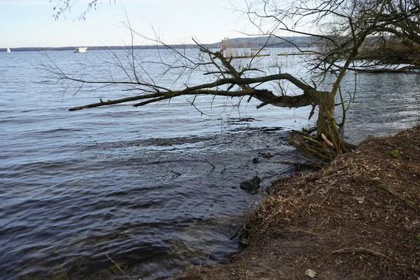 Widok Jezioro Grosser Mueggelsee Otaczającą Roślinność Lutym 12559 Berlin Niemcy — Zdjęcie stockowe