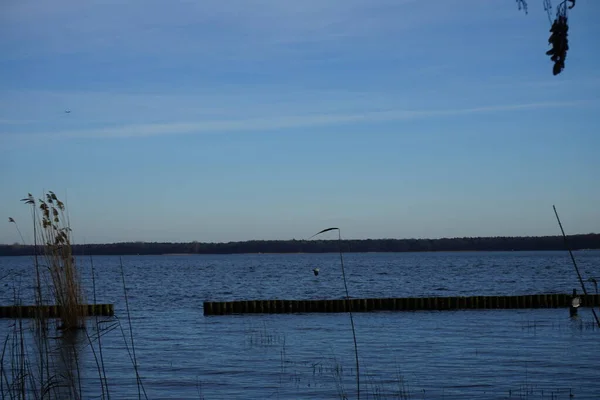 Widok Jezioro Grosser Mueggelsee Otaczającą Roślinność Lutym 12559 Berlin Niemcy — Zdjęcie stockowe