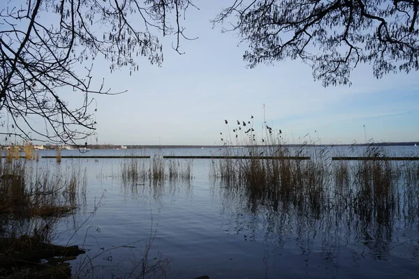 Вид Озеро Муэги Окрестности Феврале 12559 Берлин Германия — стоковое фото