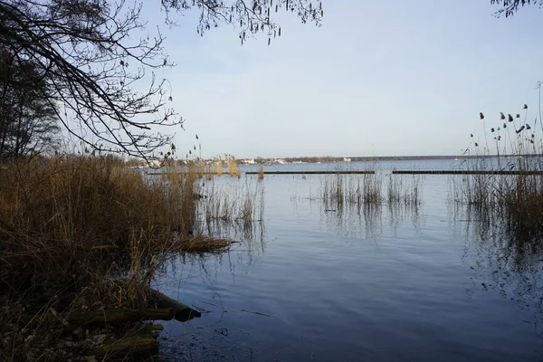 2月のグロス ムゲルゼー湖とその周辺の植生の眺め 12559年ベルリン ドイツ — ストック写真