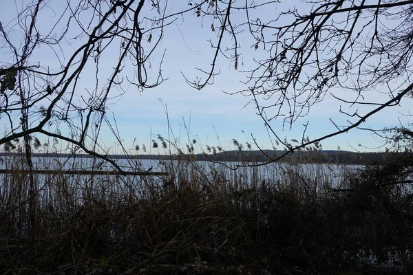 Άποψη Της Λίμνης Grosser Mueggelsee Και Της Γύρω Βλάστησης Φεβρουάριο — Φωτογραφία Αρχείου