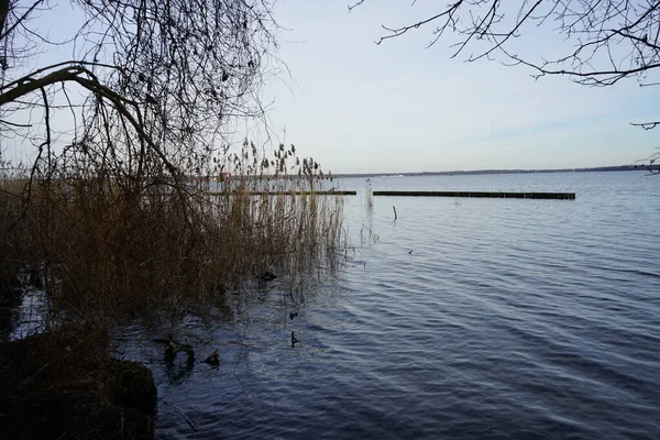 Вид Озеро Муэги Окрестности Феврале 12559 Берлин Германия — стоковое фото