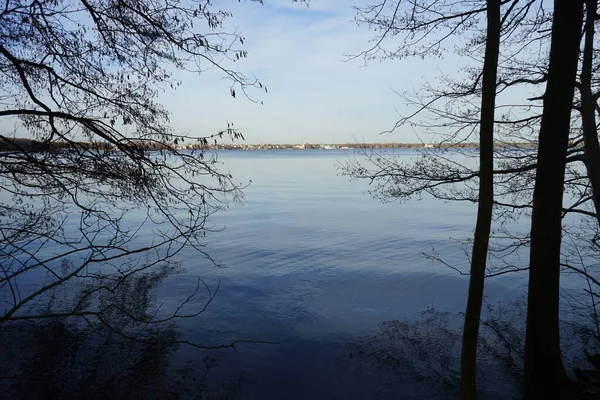 Vue Lac Grosser Mueggelsee Végétation Environnante Février 12559 Berlin Allemagne — Photo