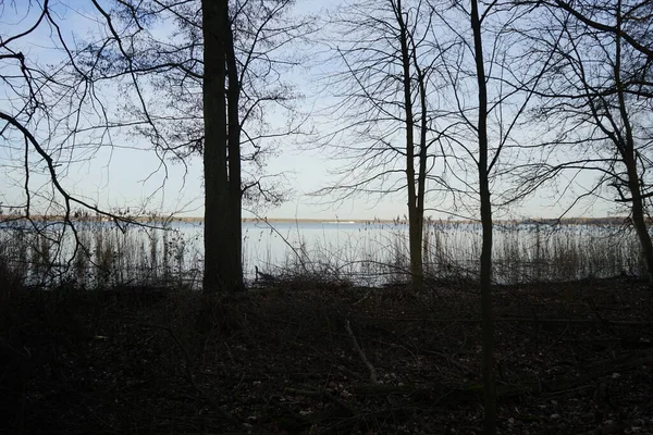 월에는 호수와 물들의 모습을 수있다 12559 베를린 — 스톡 사진