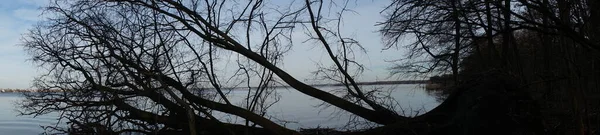 照片全景 二月的格罗斯湖和周围的植被景观 12559 Berlin Germany — 图库照片