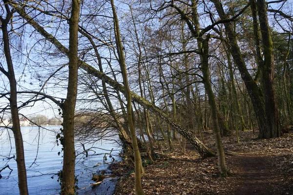 Άποψη Του Ποταμού Mueggelspree Και Των Όχθων Του Βλάστηση Φεβρουάριο — Φωτογραφία Αρχείου