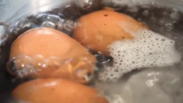 Œufs Poulet Bouillant Dans Une Casserole Acier Inoxydable Gros Plan — Video