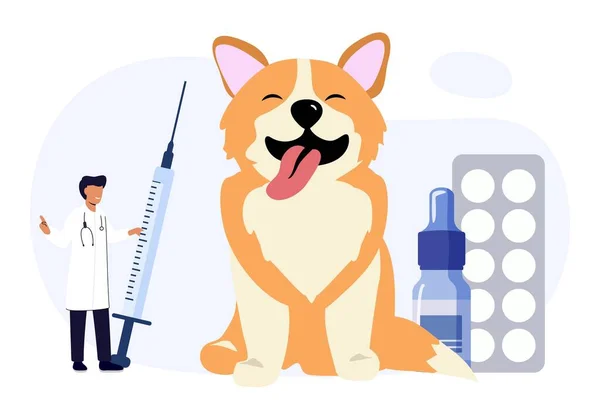 Haustier Tierarzt Tierklinik Hundetabletten Wohnung Symbol Tierklinik Dienstleistungen Und Haustiere — Stockvektor
