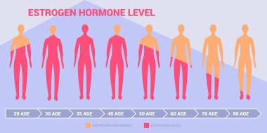 Kadınlarla veya erkeklerle östrojen zararlı seviye diyagramı vücut silueti ve yaş verisi menopoz grafiği bilgi grafiği vektör illüstrasyon kadın seks hormonu şablonu. Temsilci testosteron çizelgeleri