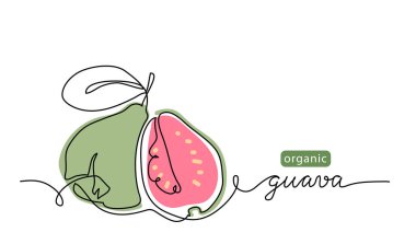 Guava meyvesi basit renk vektör çizimi. Harfli organik guava meyveli kesintisiz bir çizim.