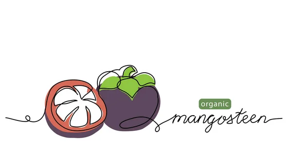 Mangosteen εξωτικά φρούτα απλή έγχρωμη διανυσματική απεικόνιση. Ένα συνεχές σχέδιο τέχνης γραμμή με γράμματα βιολογικής mangosteen φρούτα — Διανυσματικό Αρχείο