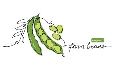 Fava fasulyesi basit renk vektör çizimi. Üzerinde organik bakla olan kesintisiz bir çizim.