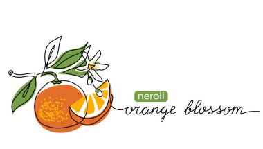 Orange blossom, neroli vector illustration. One continuous line art drawing of citrus flowers with lettering orange blossom clipart
