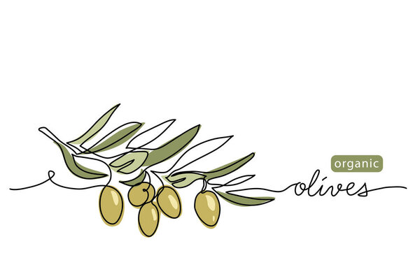 Векторный рисунок зеленых оливок. Одно сплошное линейное искусство с добавлением органических зеленых оливок