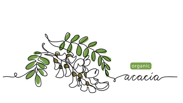 Acacia άνθος διάνυσμα σχέδιο, έγχρωμη απεικόνιση για το σχεδιασμό ετικέτα του τσαγιού ή του μελιού. Μία συνεχής γραμμή σχέδιο τέχνης με γράμματα οργανικά λουλούδια ακακίας — Διανυσματικό Αρχείο