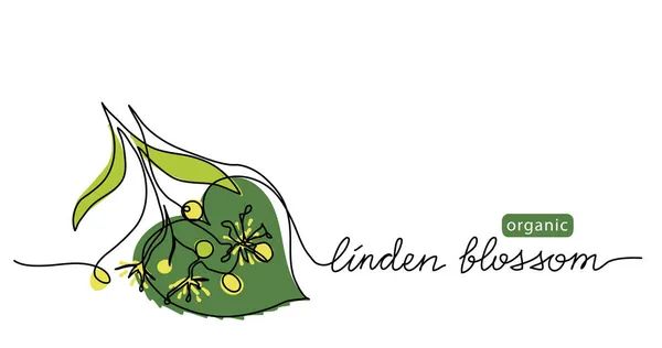 Linden, Tilia-Blütenvektor gezeichnete Skizze, farbige Illustration zur Etikettengestaltung von Tee oder Honig. Eine durchgehende Linienzeichnung mit Schriftzug Bio-Lindenblüten — Stockvektor