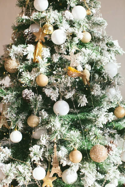 Nochebuena con estrella. — Foto de Stock