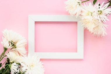Boş resim çerçevesi ve pembe arka planda kasımpatı çiçekleri. Uzayı metin için kopyala. Üst manzara, düz uzanma.