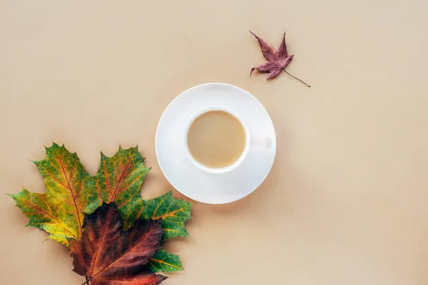 Šálek kávy a podzimní listí na béžovém pozadí. Podzimní koncept. Pohled shora, byt ležel — Stock fotografie