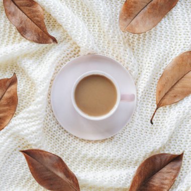 Beyaz örgü bir arka planda bir fincan kahve ve kahverengi yapraklar. Üst manzara, düz uzanma.