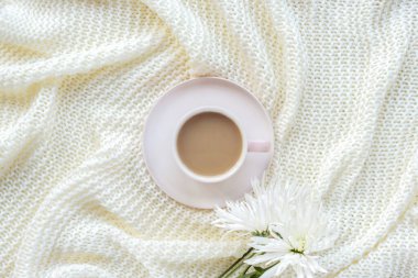 Beyaz örgü battaniyeye bir fincan kahve ve kasımpatı çiçeği. Üst manzara, düz uzanma