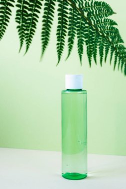 Yeşil arka planda eğrelti otu yapraklı kozmetik ürünü. Yüz için temizleyici tonik, modelle. Ön manzara, kapat.