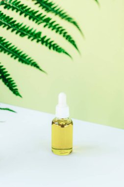 Beyaz ve yeşil arka planda eğreltiotu yapraklı serum şişesi. Yüz için doğal kozmetik ürünleri, modelle. Seçici odak