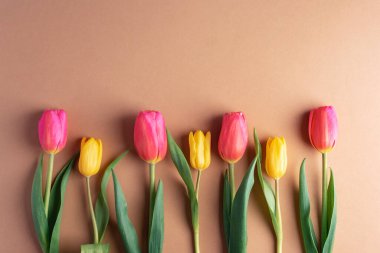 Kahverengi arka planda pembe ve sarı lale çiçekleri. Anneler günü, kadınlar günü, Paskalya, bahar tatili konsepti. Üst görünüm, düz görünüm, kopyalama alanı