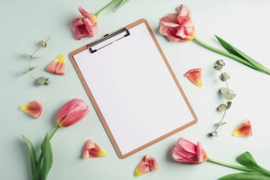 Beyaz arka planda, pembe lale çiçekleri, taç yaprakları ve okaliptüs yaprakları olan bir pano modeli. Bahar tatili konsepti. Üst manzara, düz uzanma.