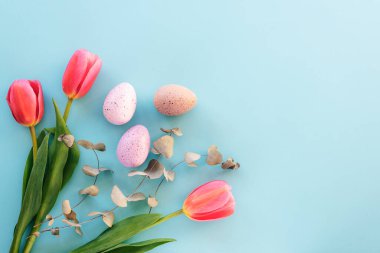 Lalelerle süslenmiş Paskalya yumurtaları ve mavi arka planda okaliptüs yaprakları. Üst görünüm, düz görünüm, kopyalama alanı.
