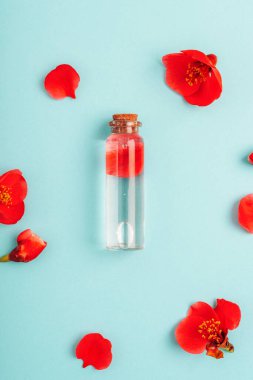 Mavi arka planda bir şişe parfüm ya da kozmetik jel ve kırmızı çiçek. Üst manzara, düz uzanma.