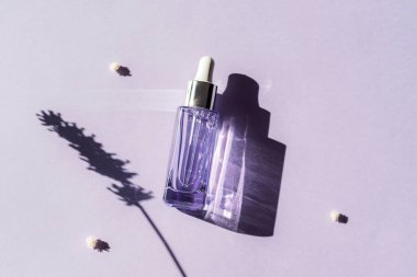 Lavanta serumu ya da güneş ışığında kozmetik yağ. Aromaterapi, cilt bakımı. Üst manzara, düz uzanma.