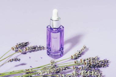 Cam şişede kozmetik serumu ve leylak arka planda lavanta çiçekleri. Aromaterapi ve doğal kozmetik konsepti. Yakın çekim..