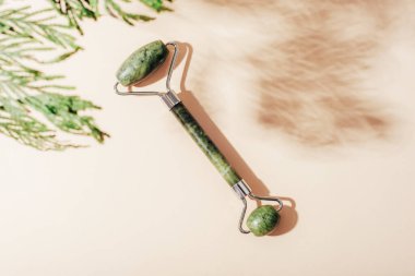 Açık bej arka planda selvi dallı yüz silindiri. Doğal kozmetik, aromaterapi, güzellik tedavi konsepti. Üst manzara, düz uzanma.