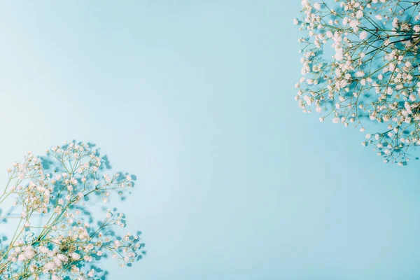 White gypsophila flowers on light blue background in sunlight. Top view, flat lay, copy space.