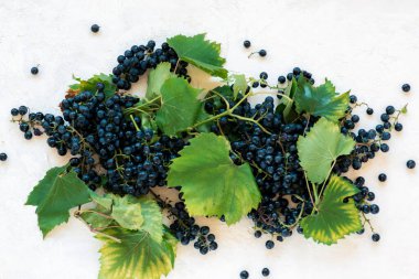 Beyaz desenli arka planda yaprakları olan mavi üzümler. Üst manzara, düz uzanma.