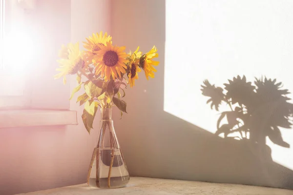Bouquet of sunflowers in glass vase against white wall in sunlight.