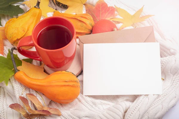 Pusta Kartka Kopertą Filiżanką Herbaty Pomarańczowymi Dyniami Jesiennymi Liśćmi Białej — Zdjęcie stockowe