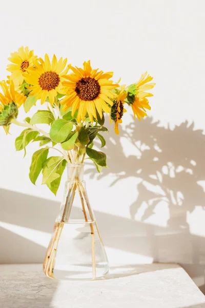 Bouquet of sunflowers in glass vase against white wall in sunlight. Closeup.