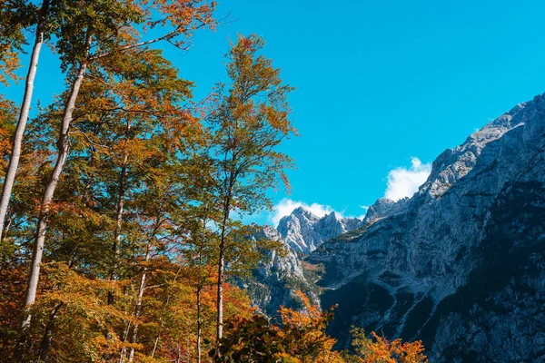 Picos Montanha Logar Valley Logarska Dolina Eslovénia — Fotografia de Stock