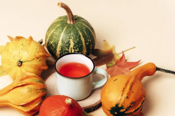 Filiżanka Herbaty Pomarańczowe Dynie Jesienne Liście Beżowym Stole Święto Dziękczynienia — Zdjęcie stockowe