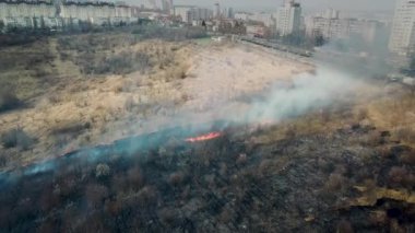 Bahar otlakları ve orman yangını, büyük alevler ve bahar hava çekiminde orman yangınından çıkan duman. Bir şehir görüyorsun.
