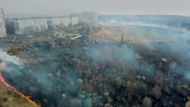 Fuego forestal. Árboles quemados después de incendios forestales, contaminación y mucho humo. en las inmediaciones de la ciudad — Vídeo de stock