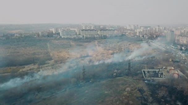 Видео большого лесного пожара с большой колонной дыма на склоне холма рядом с городом. Концепция стихийных бедствий — стоковое видео